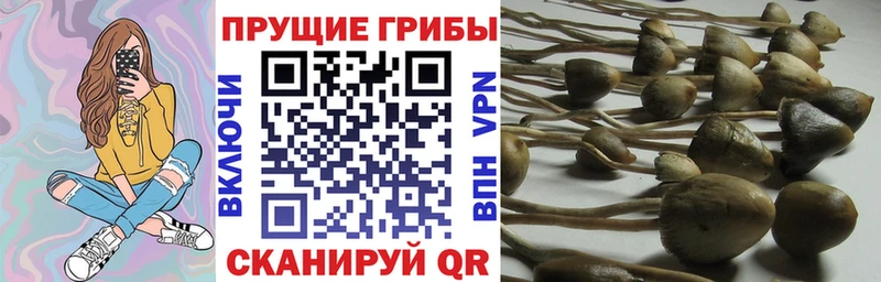 Галлюциногенные грибы ЛСД  Нерехта 